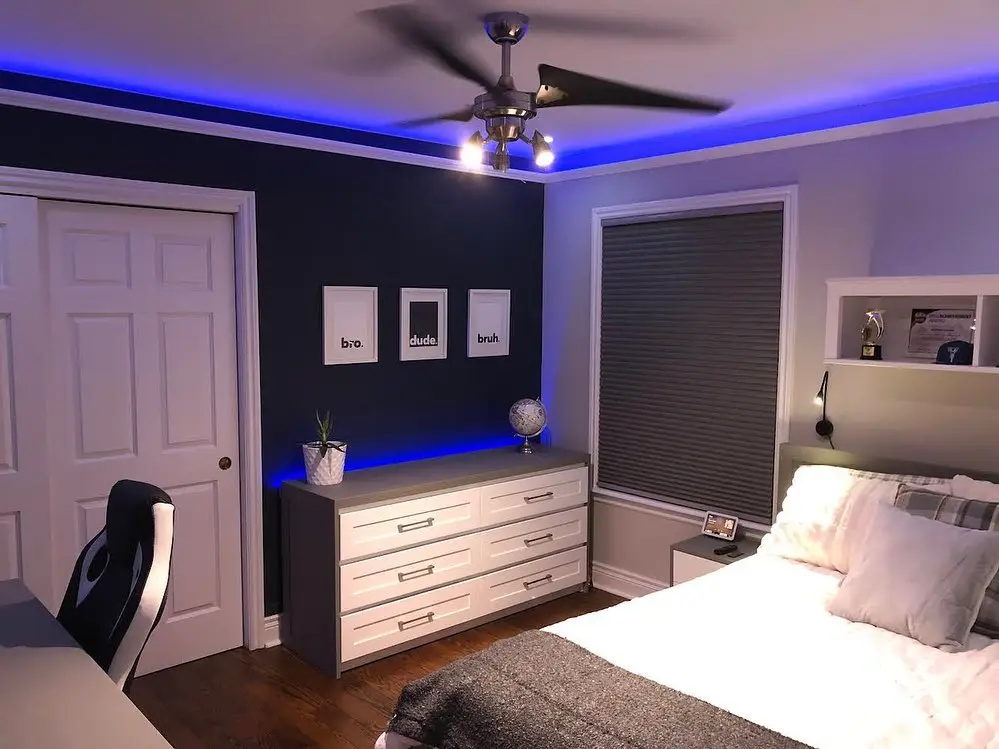 Home Improvement Project